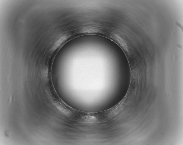 X0000099400159200805081542