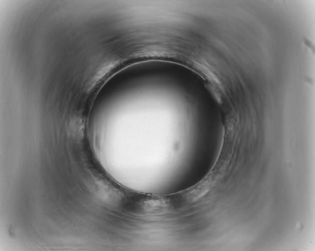 X0000099400160200805081542