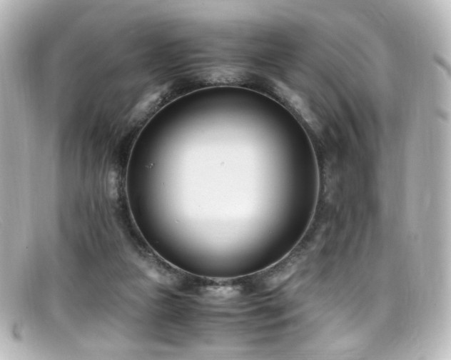 X0000099400161200805081542