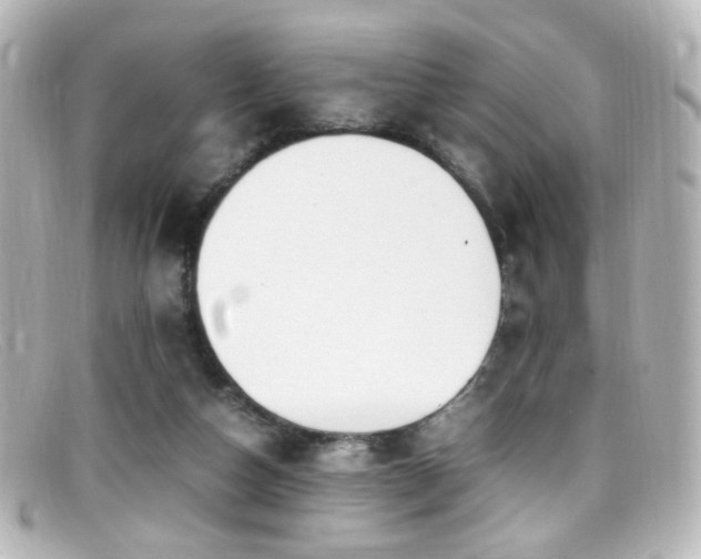 X0000099400162200805081542