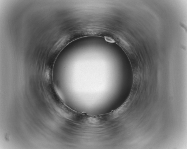 X0000099400166200805081542