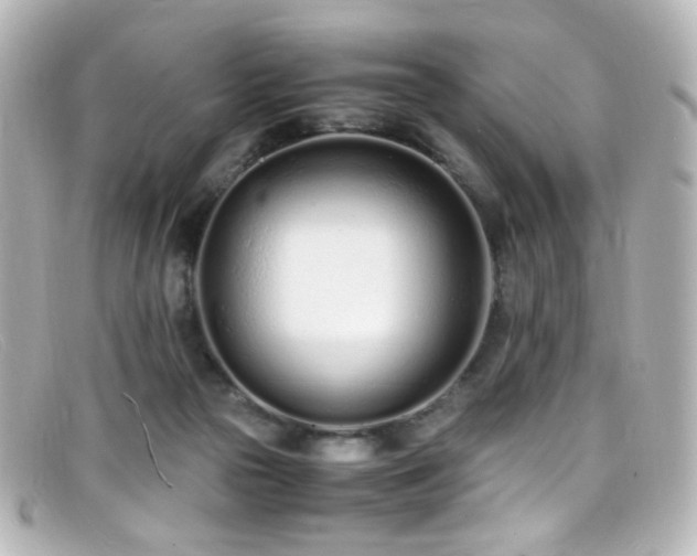 X0000099400169200805081542