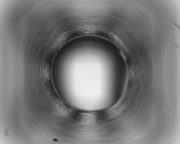 X0000099400170200805081542