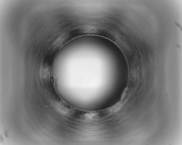 X0000099400172200805081542