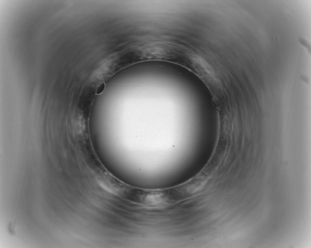 X0000099400173200805081542