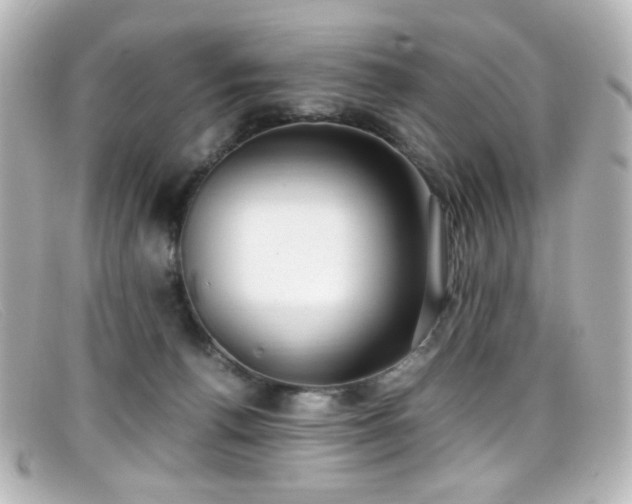 X0000099400176200805081542