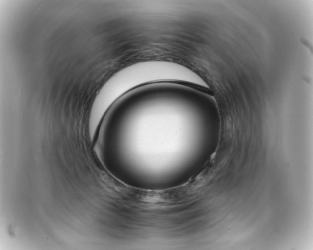 X0000099400177200805081542