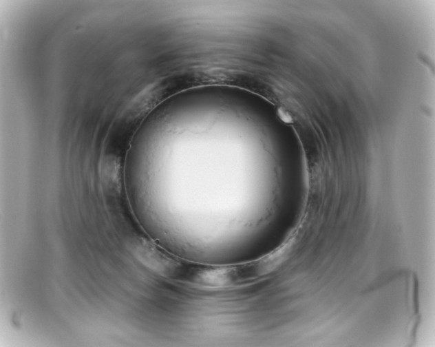 X0000099400178200805081542