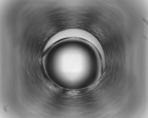 X0000099400179200805081542