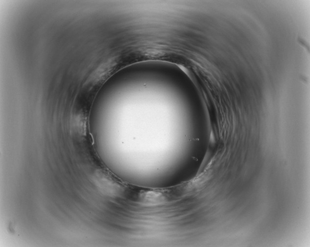X0000099400180200805081542