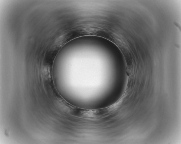 X0000099400182200805081542