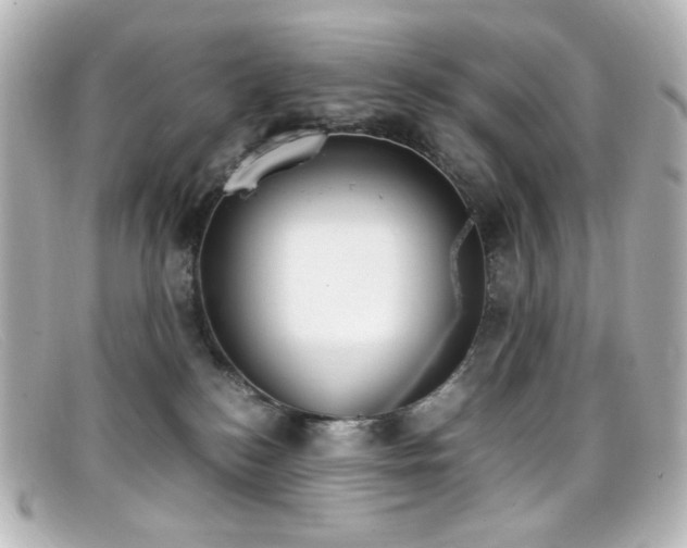 X0000099400184200805081542