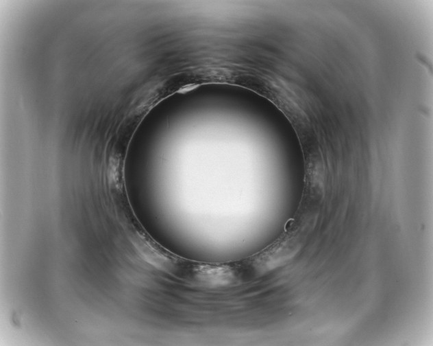 X0000099400185200805081542