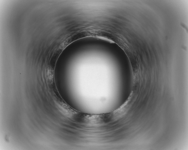X0000099400186200805081542