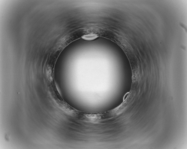 X0000099400187200805081542