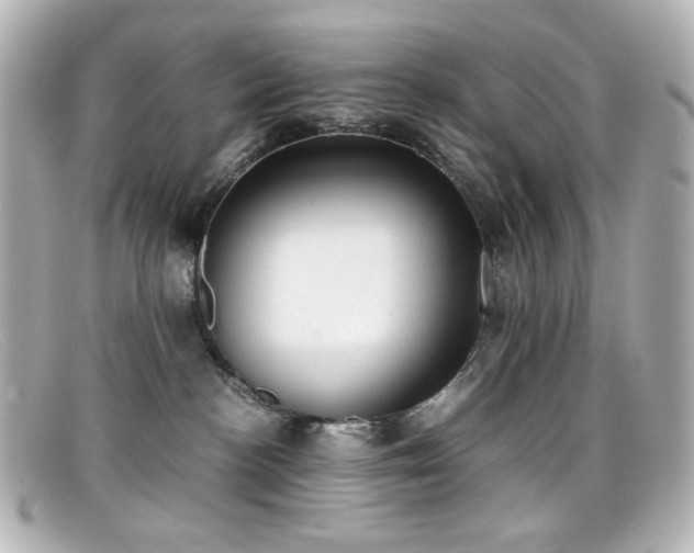 X0000099400188200805081542