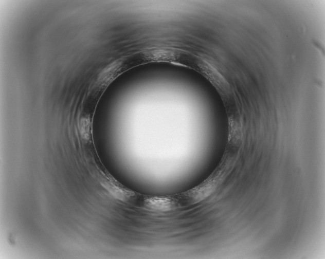 X0000099400189200805081542