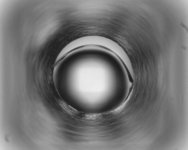 X0000099400190200805081542
