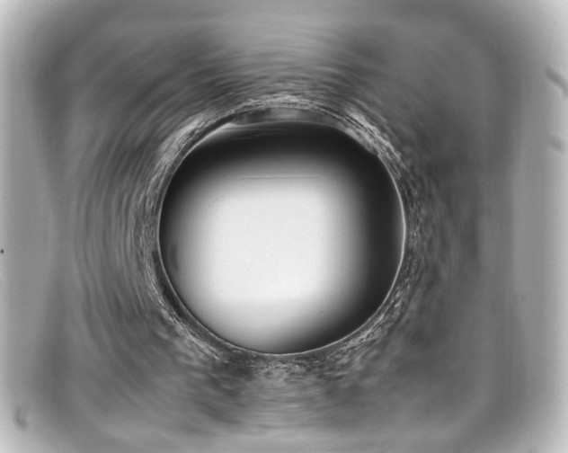 X0000099400193200805081542