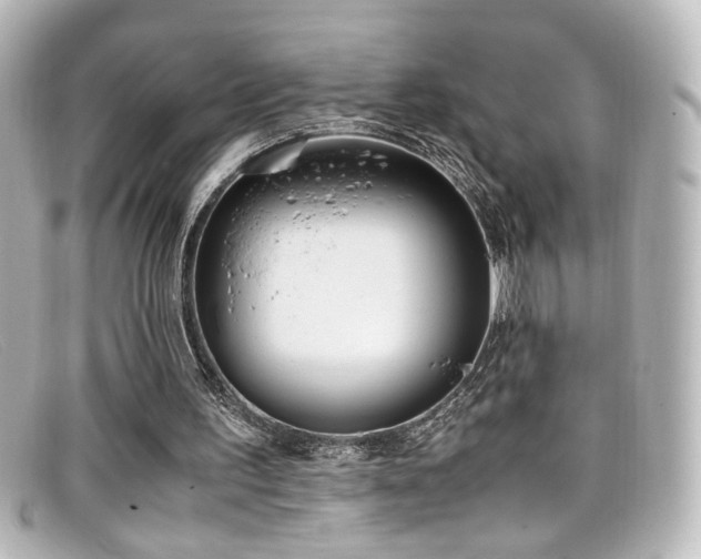 X0000099400195200805081542