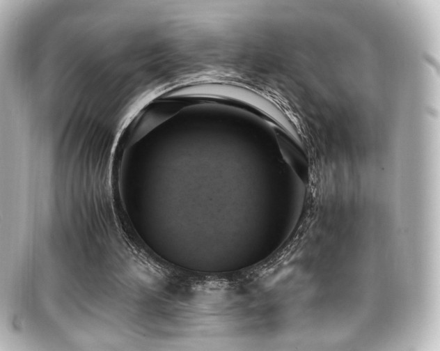 X0000099400196200805081542