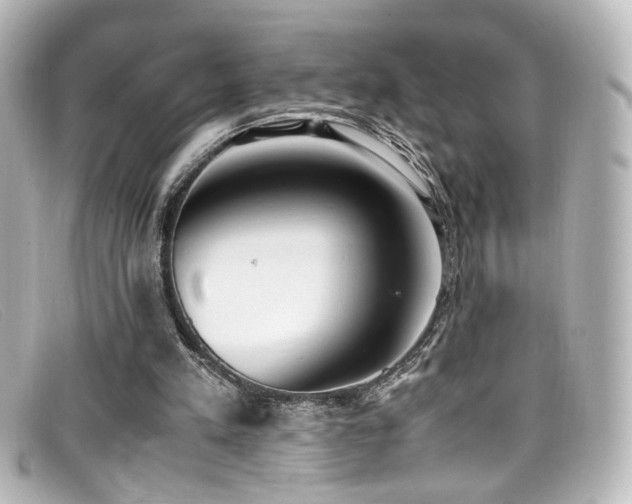 X0000099400197200805081542