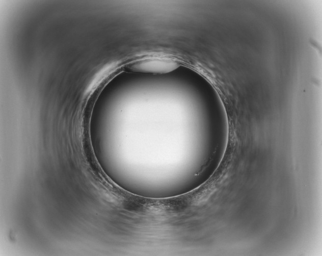 X0000099400199200805081542