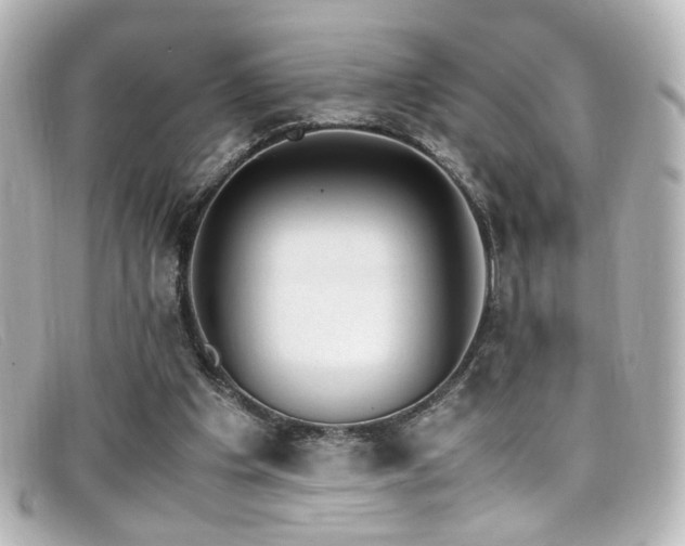 X0000099400201200805081542