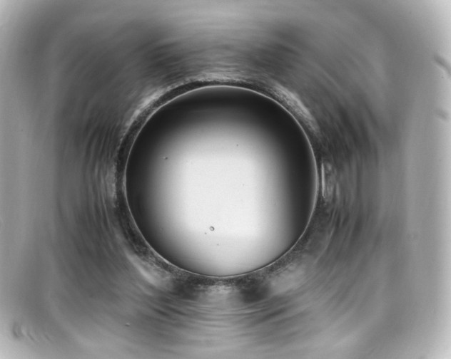 X0000099400204200805081542
