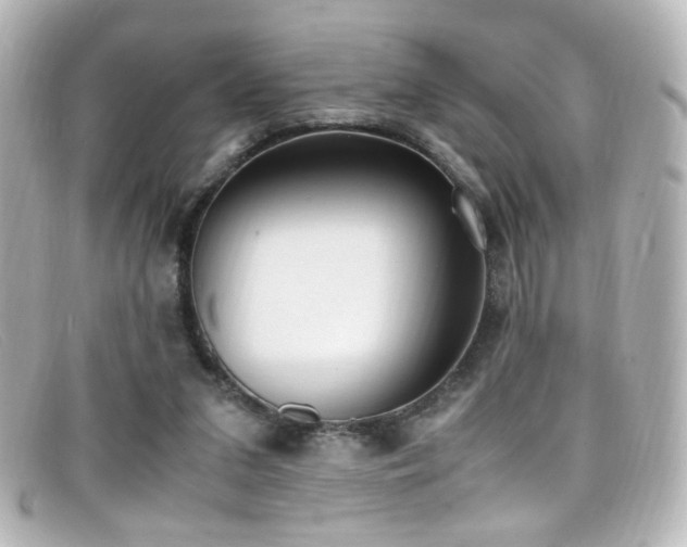 X0000099400207200805081542