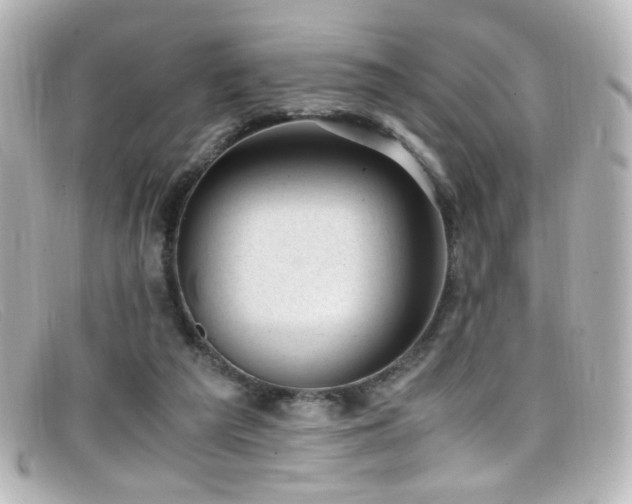 X0000099400209200805081542