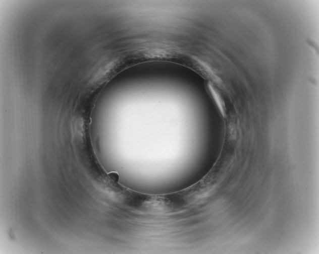 X0000099400211200805081542