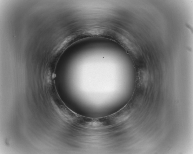 X0000099400212200805081541