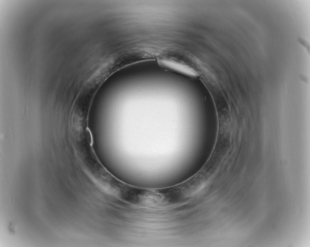 X0000099400215200805081541