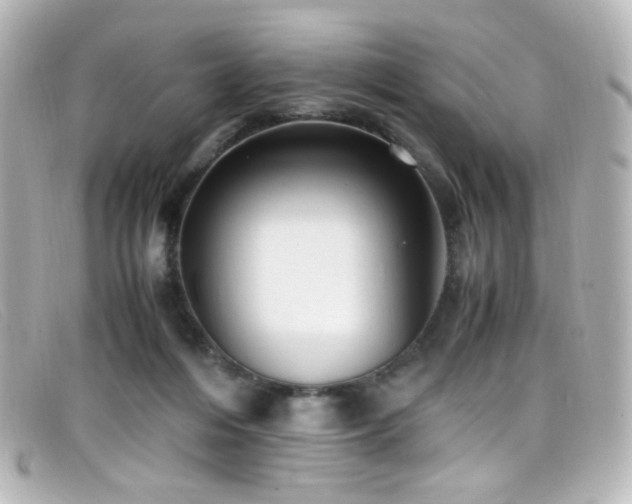 X0000099400216200805081541