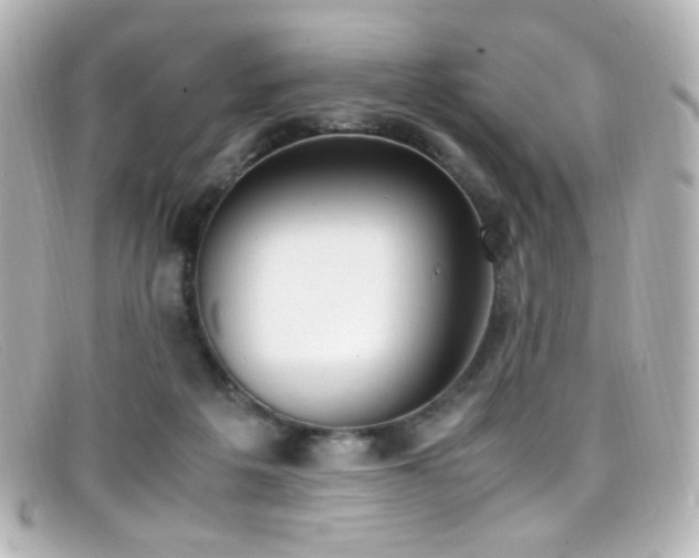 X0000099400217200805081541