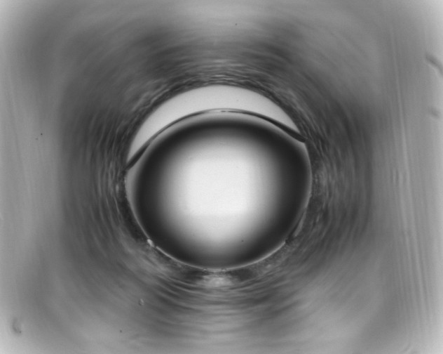 X0000099400218200805081541