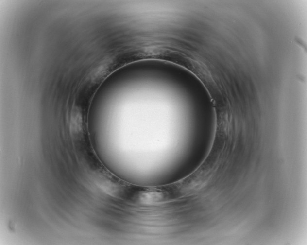 X0000099400220200805081541