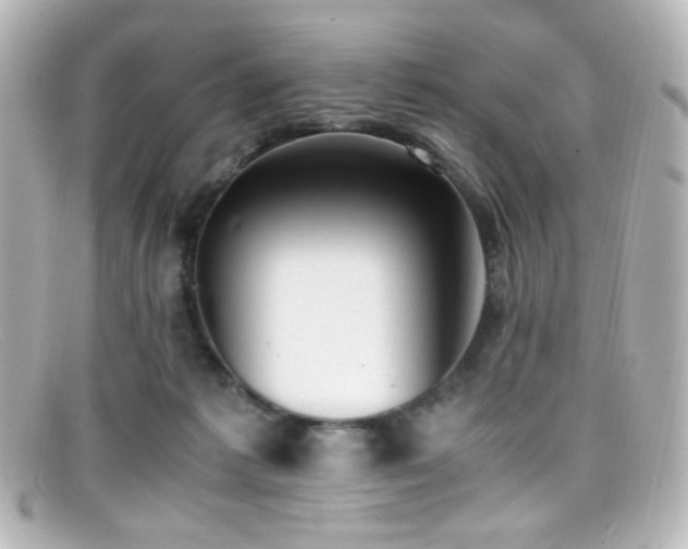 X0000099400221200805081541