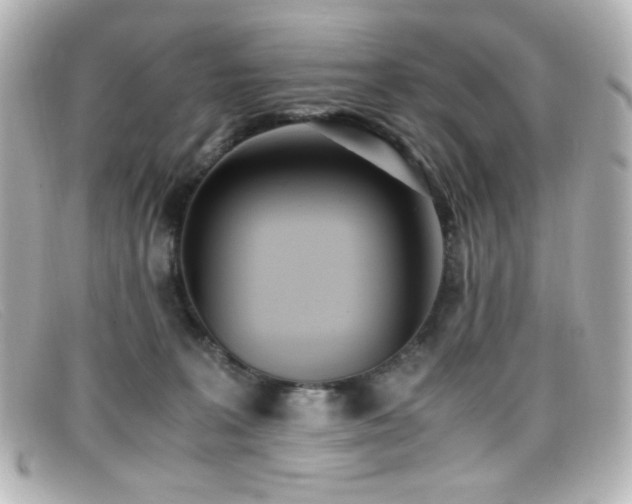 X0000099400227200805081541