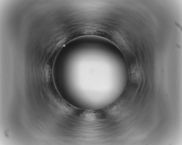 X0000099400228200805081541