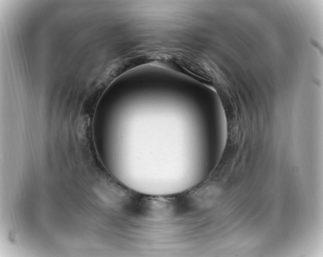 X0000099400229200805081541