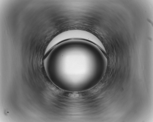 X0000099400230200805081541