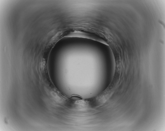 X0000099400231200805081541