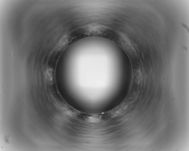 X0000099400232200805081541