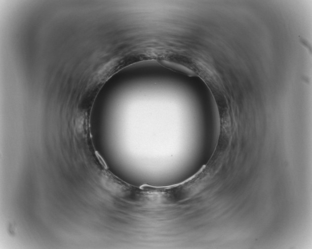 X0000099400233200805081541