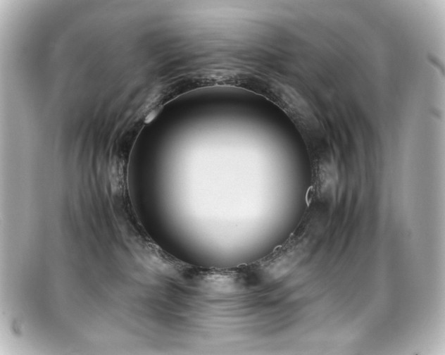 X0000099400236200805081541