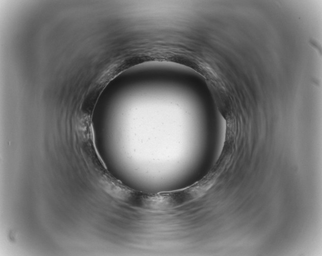 X0000099400237200805081541