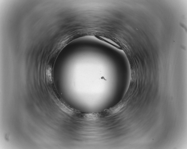X0000099400238200805081541