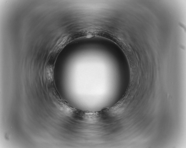 X0000099400240200805081541